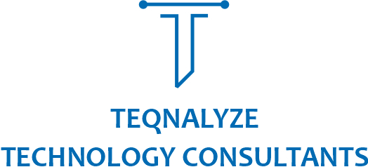 logo-Teqnalyze TEchnology Consultants